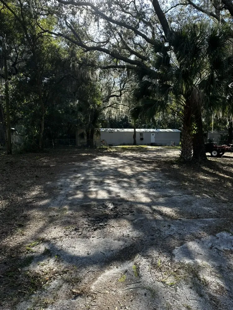 Custom yard maintenance in Palm Bay, FL - B & Jays Landscaping