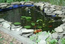 Reliable lawn care service in Decatur, IL by B & K Landscaping