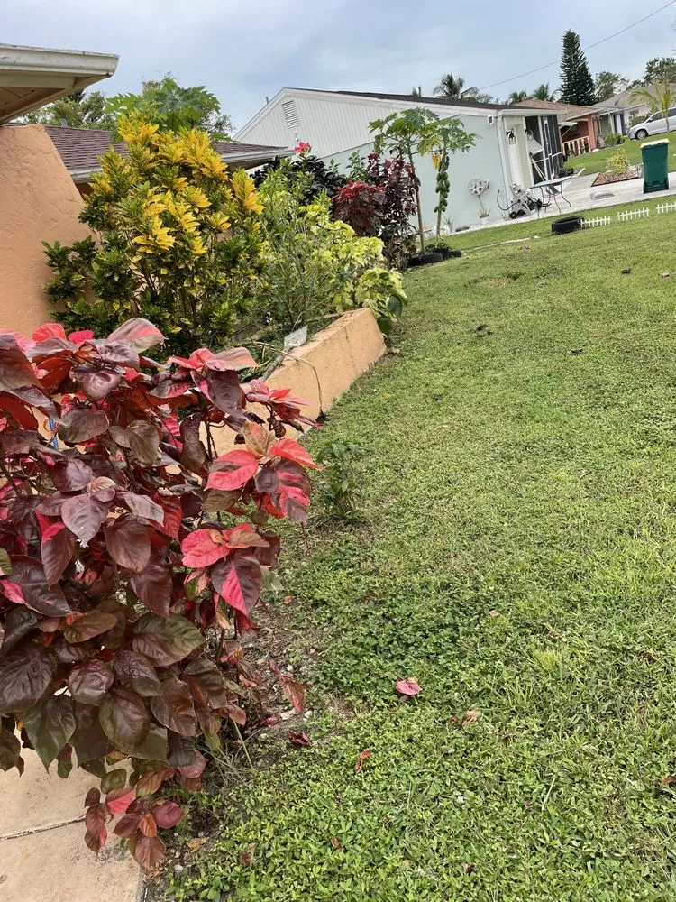 Reliable lawn mowing service in Naples, FL by B & K Landscaping