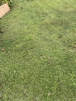 B & K Landscaping Logo