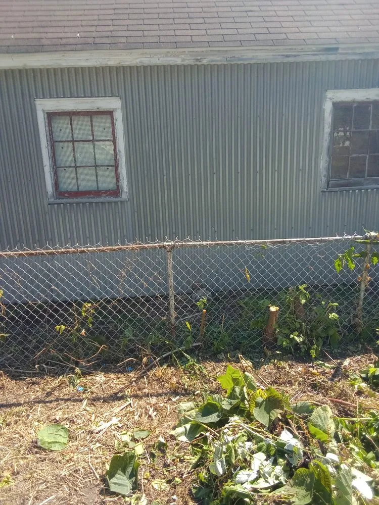 Local yard cleanup service in Rome, NY - B & K Lawn Service