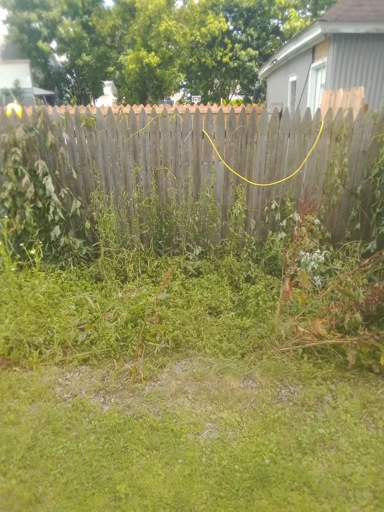 Reliable yard maintenance in Rome, NY - B & K Lawn Service