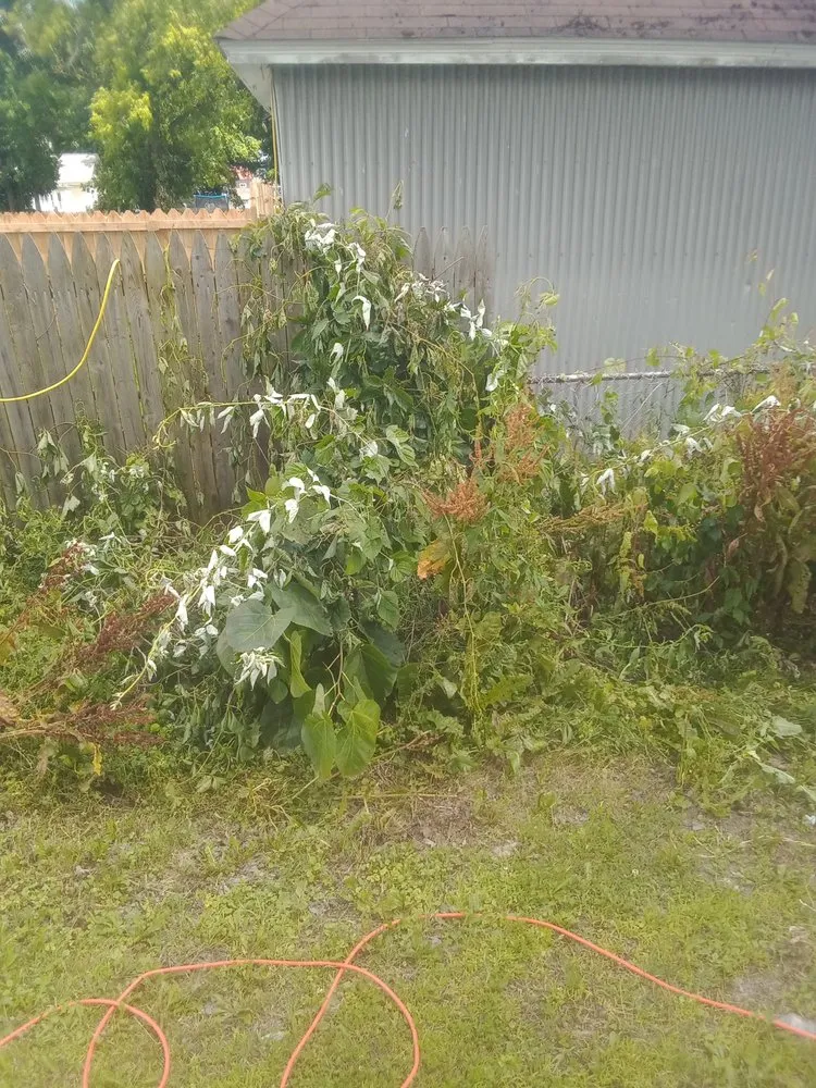 Trusted yard cleanup service experts serving Rome, NY - B & K Lawn Service