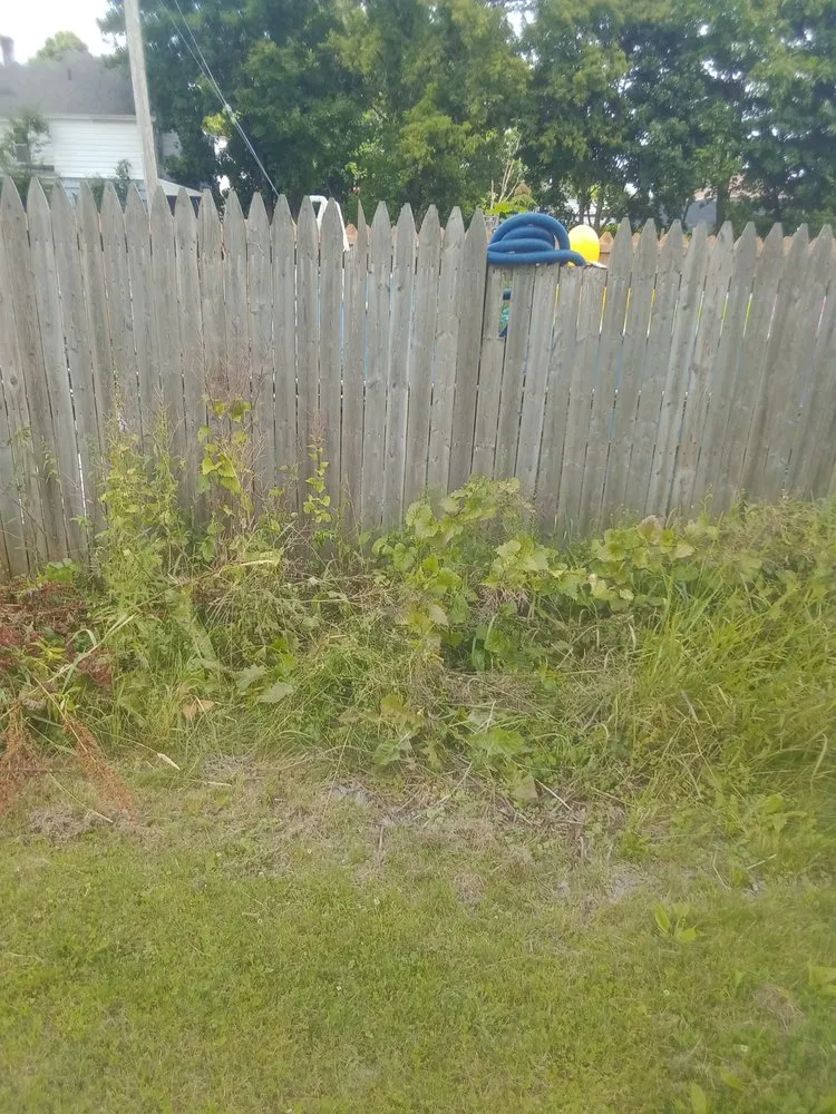 Custom residential landscaping near you in Rome, NY by B & K Lawn Service