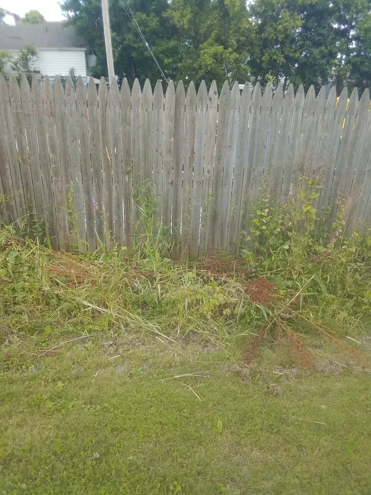 Professional yard maintenance in Rome, NY - B & K Lawn Service