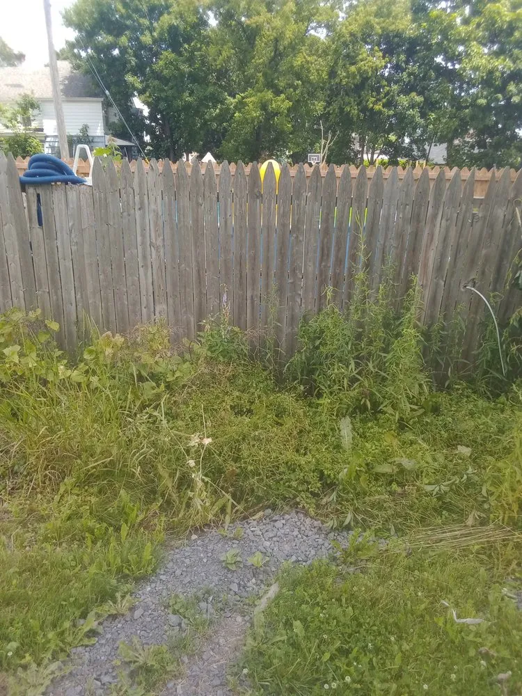 Trusted landscaping services for homes across Rome, NY - B & K Lawn Service