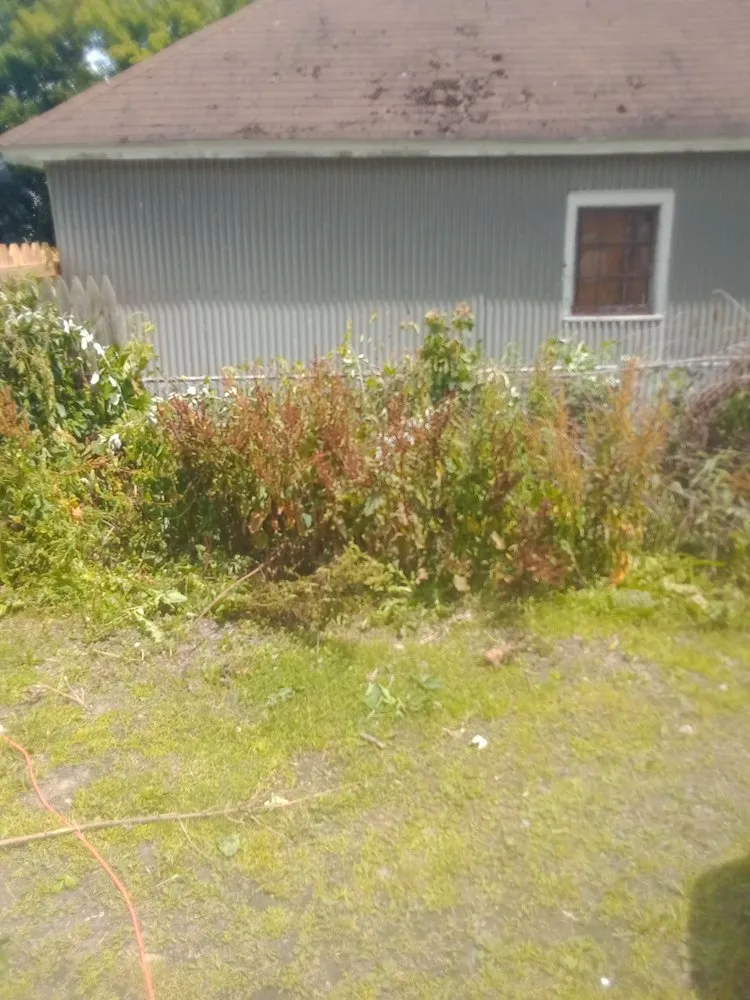 Affordable outdoor landscaping experts serving Rome, NY - B & K Lawn Service