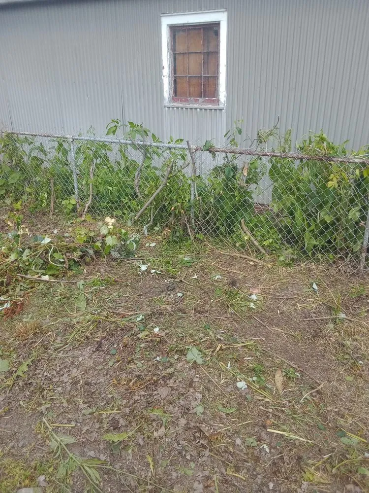 Local landscaping services in Rome, NY - B & K Lawn Service