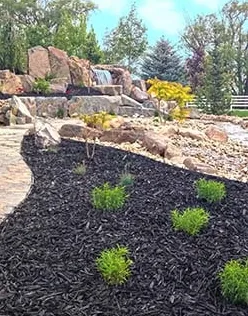 Trusted lawn care service for beautiful yards in Idaho Falls, ID by B & K Professional Services
