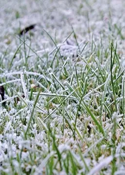 Affordable landscape design near you across Idaho Falls, ID - B & K Professional Services