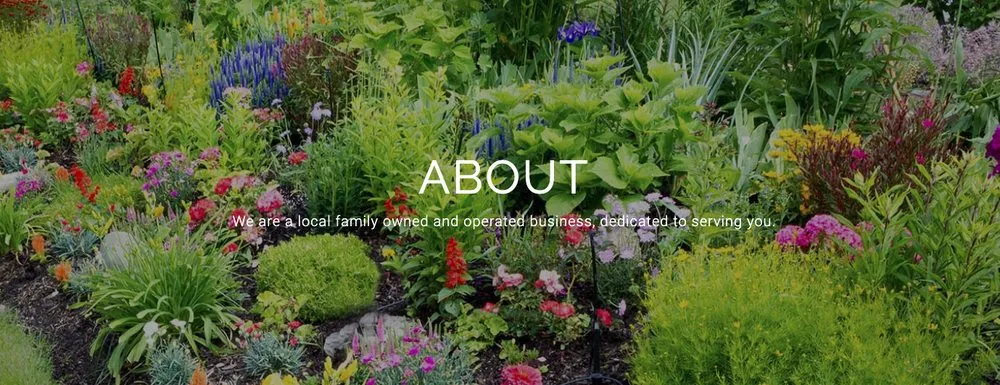 Professional lawn care service for year-round maintenance across Idaho Falls, ID - B & K Professional Services