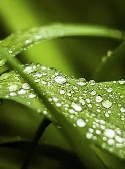 Custom outdoor landscaping with custom design across Idaho Falls, ID - B & K Professional Services