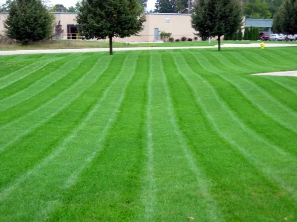 Top-rated landscaping services near you across St. Petersburg, FL - B & K's Lawncare