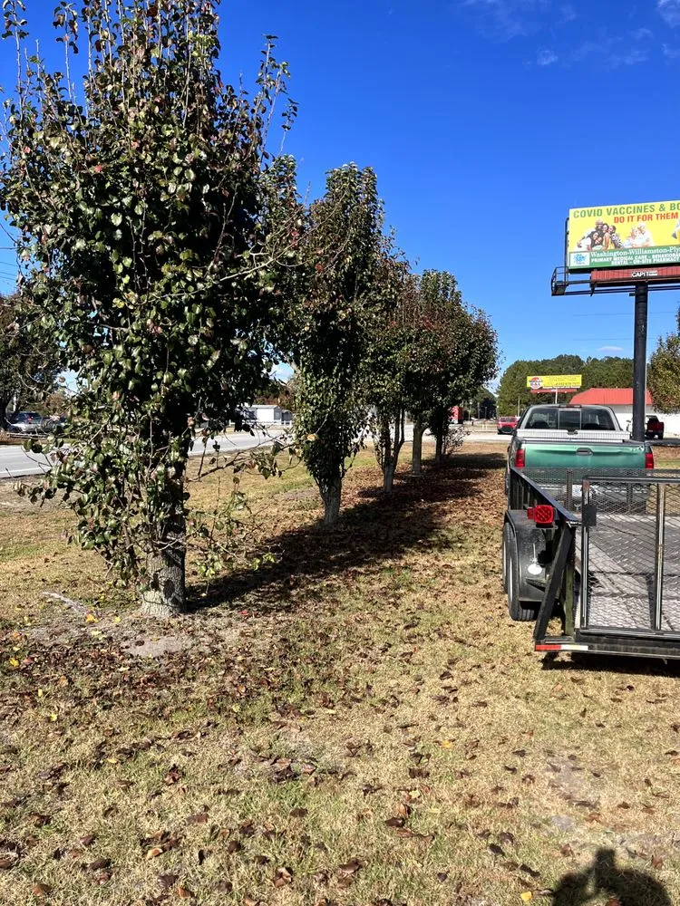 Professional yard maintenance for beautiful yards across Vanceboro, NC - B & L Dumpster Rental and Junk Removal