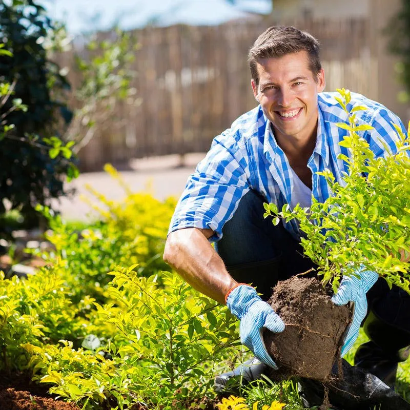 Custom garden landscaping for homes in St Charles, IL by B & L Landscaping Contractors