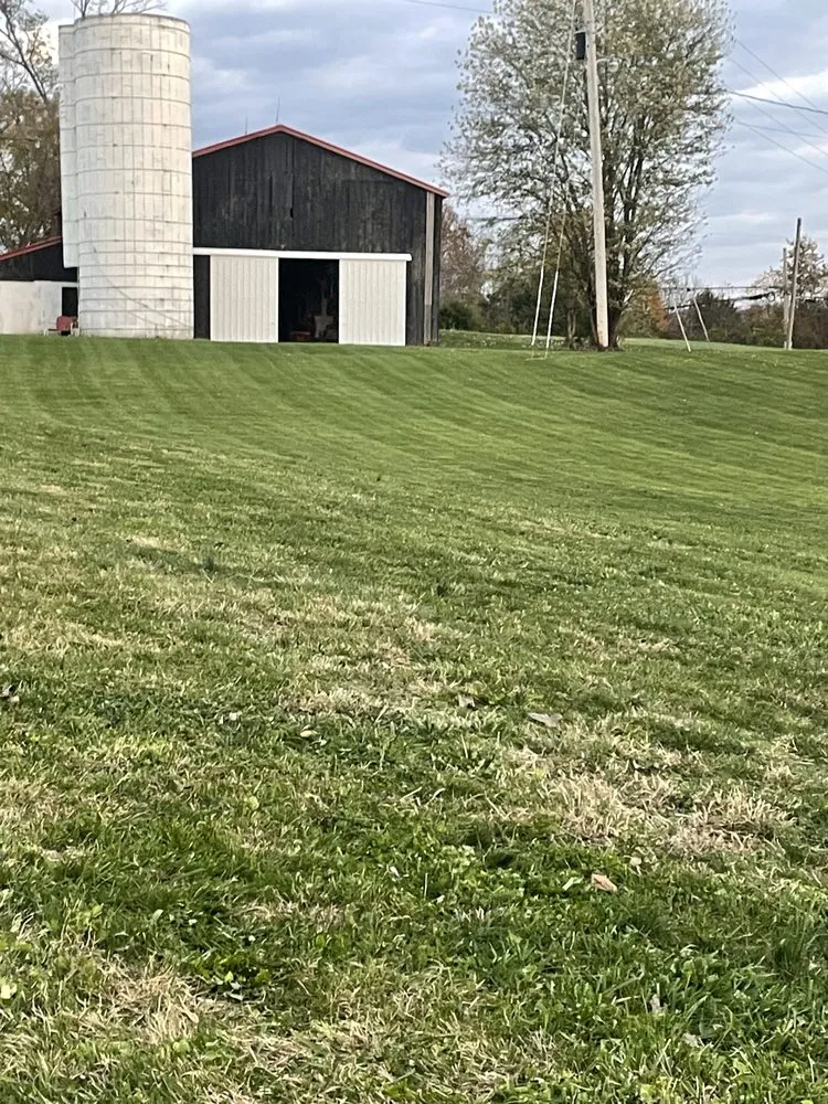 Expert yard cleanup service for homes across Falmouth, KY - B & L Landscaping