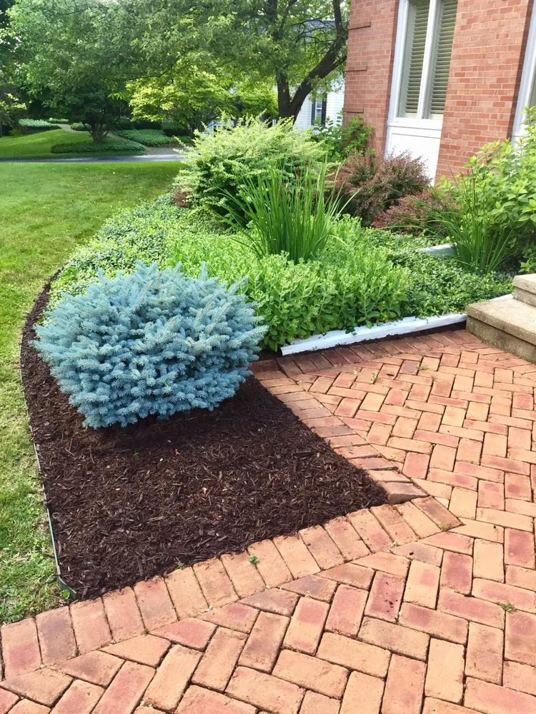 Trusted yard cleanup service in Green Bay, WI - B & L Lawn and Landscape