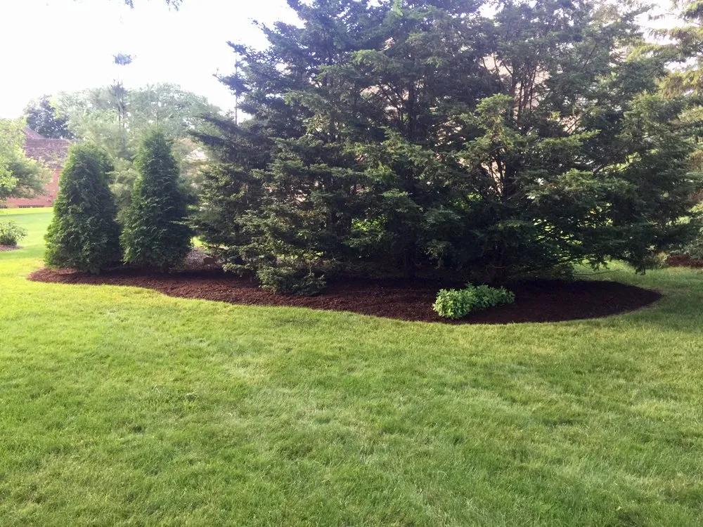 Expert yard cleanup service experts serving Green Bay, WI - B & L Lawn and Landscape