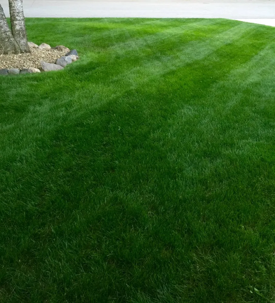 Trusted yard maintenance experts serving Green Bay, WI - B & L Lawn and Landscape