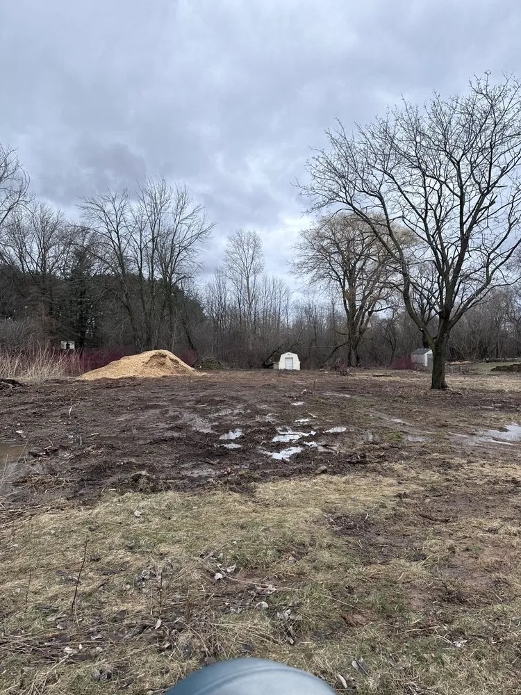 Local lawn mowing service in Green Bay, WI - B & M Land Management