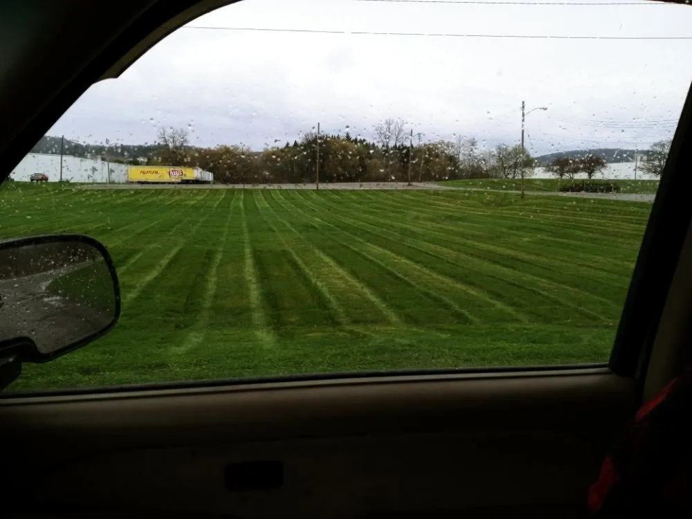 Custom lawn care service experts serving Binghamton, NY - B & M Landscaping & Gardening