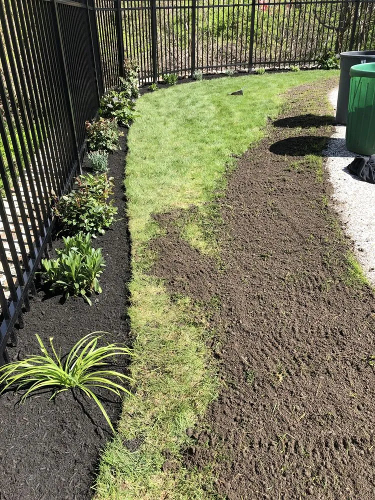 Local yard cleanup service in Rowley, MA - B & M Landscaping and Construction