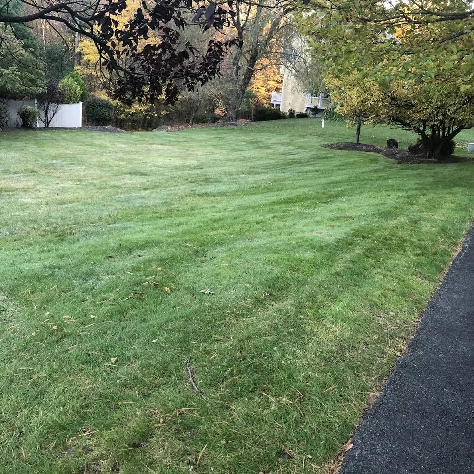 Professional landscape installation for year-round maintenance across Rowley, MA - B & M Landscaping and Construction