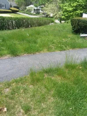 B & M Landscaping and Construction