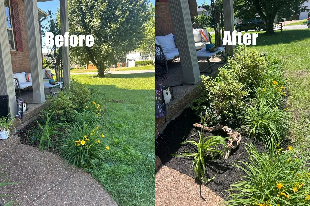 Top-rated yard cleanup service in Green Hill, TN by B & M Landscaping