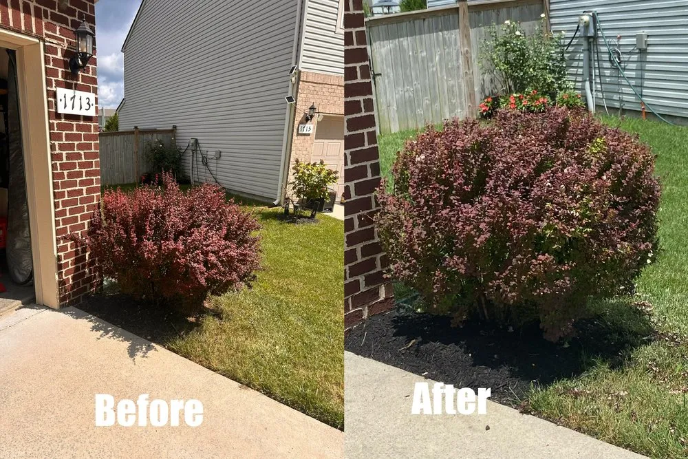 Local lawn mowing service in Green Hill, TN - B & M Landscaping