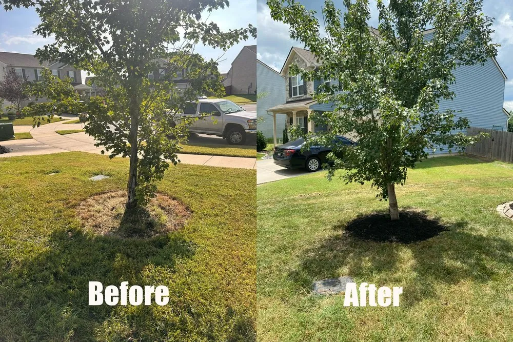 Professional garden landscaping in Green Hill, TN - B & M Landscaping