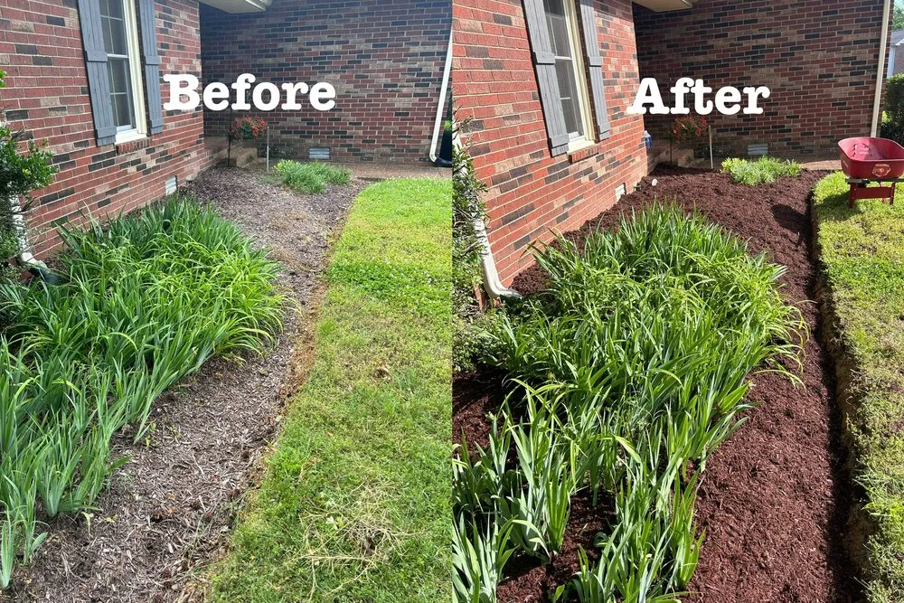 Expert landscaping services experts serving Green Hill, TN - B & M Landscaping