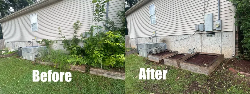 Expert landscaping services near you in Green Hill, TN by B & M Landscaping