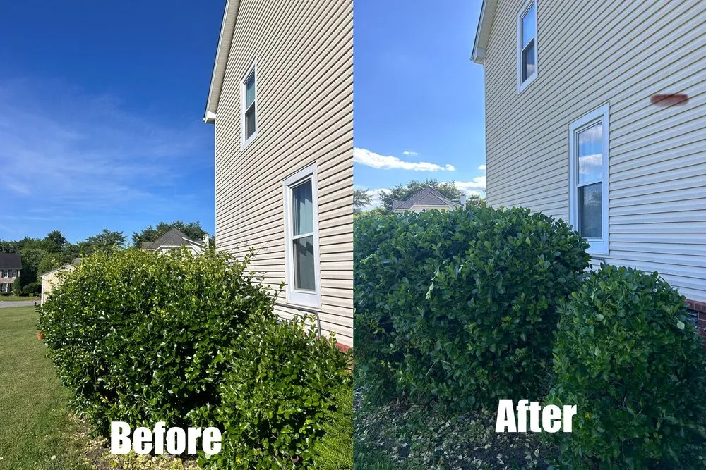 Reliable landscape installation experts serving Green Hill, TN - B & M Landscaping