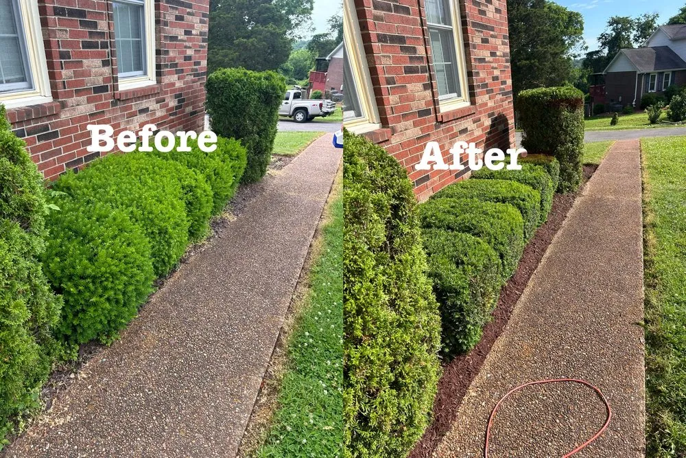 Local landscape installation experts serving Green Hill, TN - B & M Landscaping