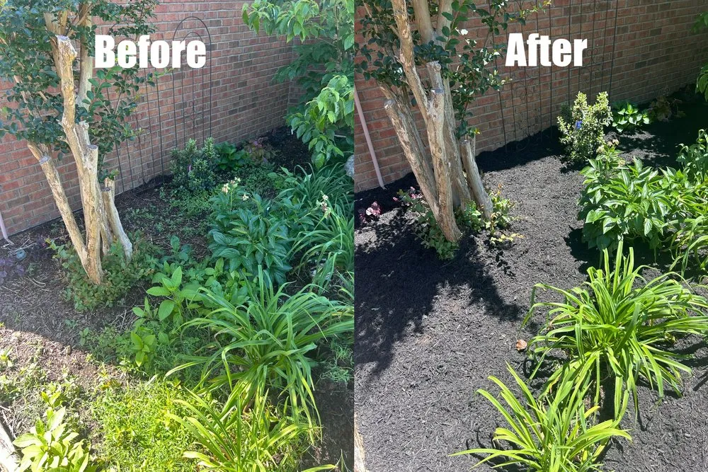 Local landscaping services for year-round maintenance across Green Hill, TN - B & M Landscaping