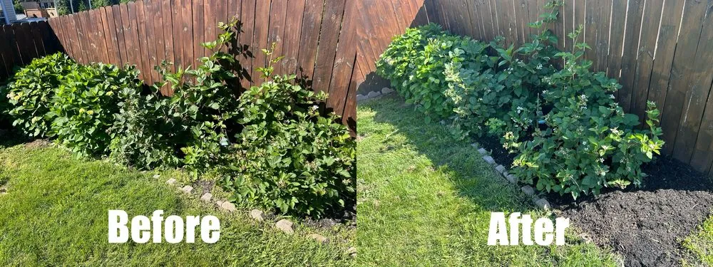 Affordable landscape design experts serving Green Hill, TN - B & M Landscaping