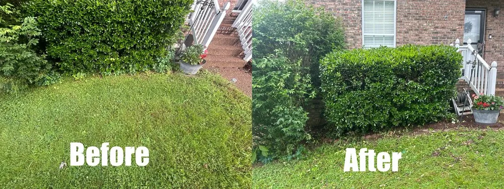 Trusted lawn care service in Green Hill, TN by B & M Landscaping