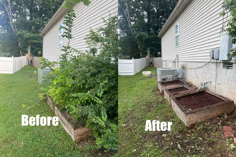 Top-rated landscape installation for homes across Green Hill, TN - B & M Landscaping