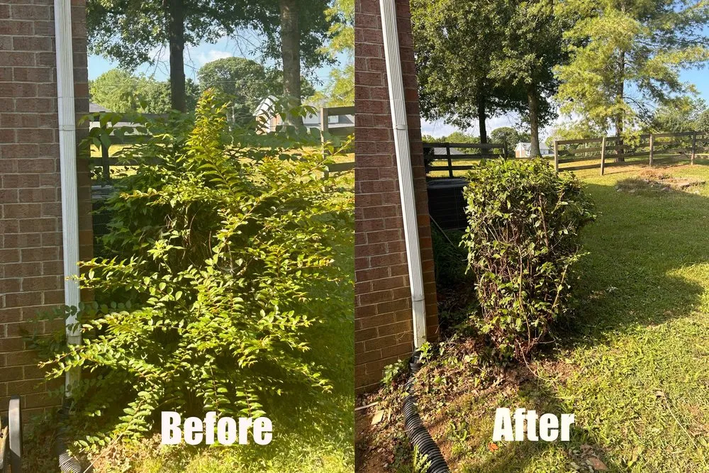 Trusted lawn care service in Green Hill, TN by B & M Landscaping