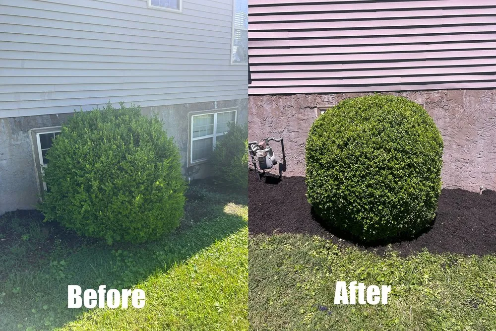 Affordable garden landscaping for beautiful yards in Green Hill, TN by B & M Landscaping