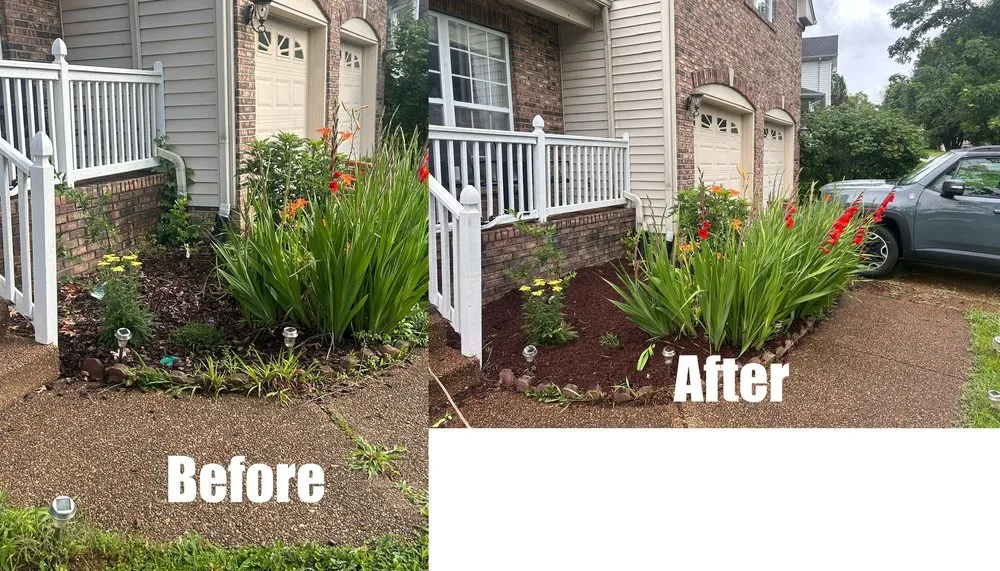 Local yard cleanup service experts serving Green Hill, TN - B & M Landscaping
