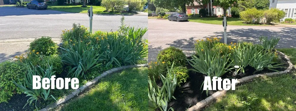 Reliable lawn mowing service for homes across Green Hill, TN - B & M Landscaping