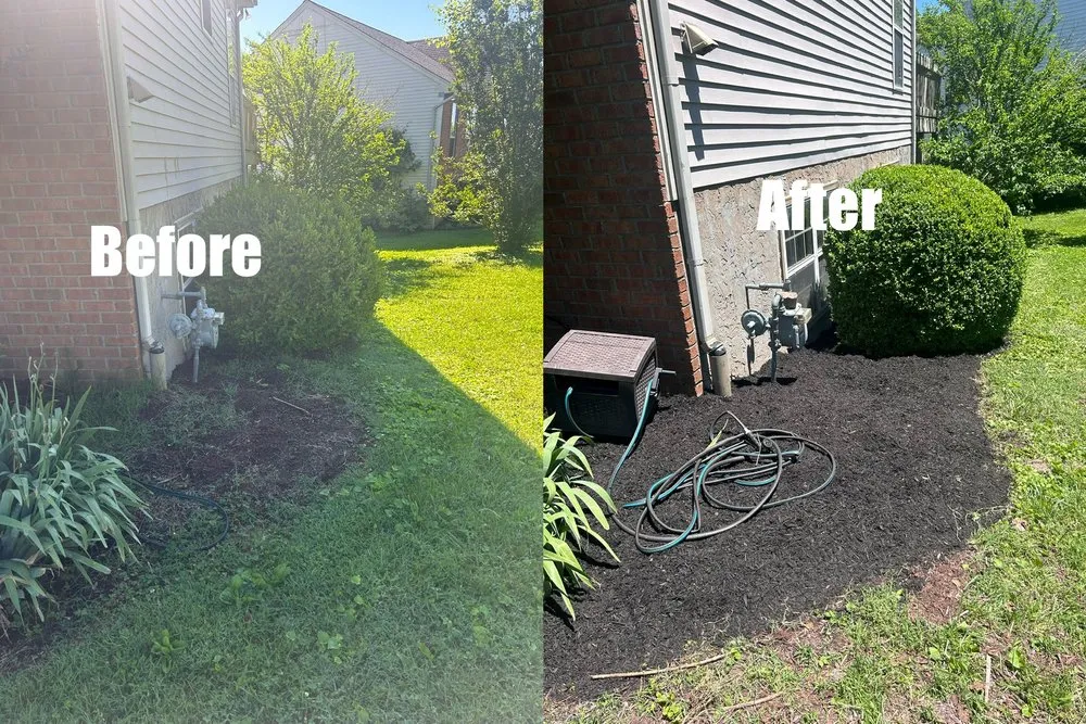 Professional lawn care service in Green Hill, TN - B & M Landscaping