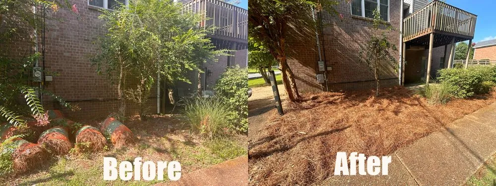 Top-rated landscape design experts serving Green Hill, TN - B & M Landscaping