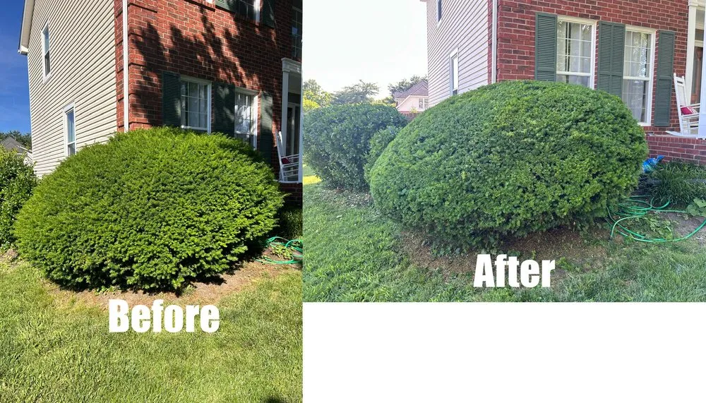 Professional landscape installation for outdoor upgrades across Green Hill, TN - B & M Landscaping