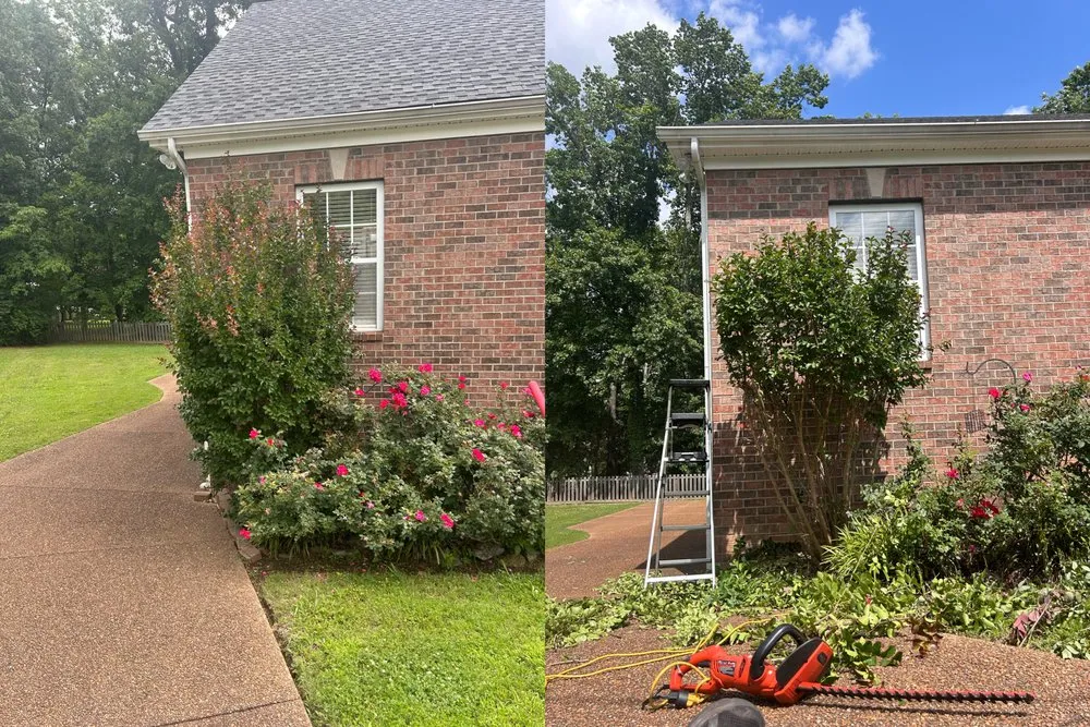 Custom landscape installation experts serving Green Hill, TN - B & M Landscaping