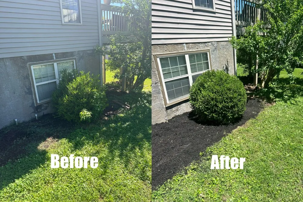 Reliable outdoor landscaping experts serving Green Hill, TN - B & M Landscaping