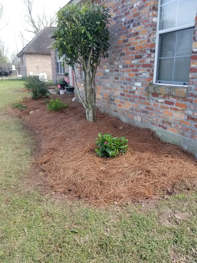 Reliable landscaping services experts serving Gonzales, LA - B & M Lawn & Landscaping