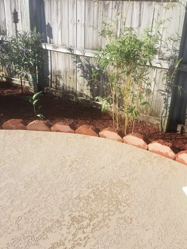 Professional lawn care service in Gonzales, LA - B & M Lawn & Landscaping